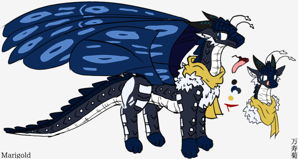 Marigold | Moth Dragon